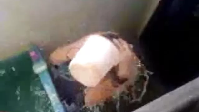 ઉત્કટ ચોદવુ શાળા સેક્સ વાર્તા
