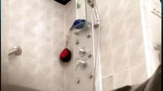 રમતો લેસ્બિયન્સ hammocks બીપી સેક્સ ફીલમ