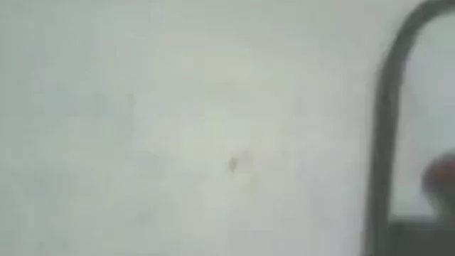 મોટા ભાઈ છે, મોટા જાનવર સેક્સ વીડિયો શિશ્ન