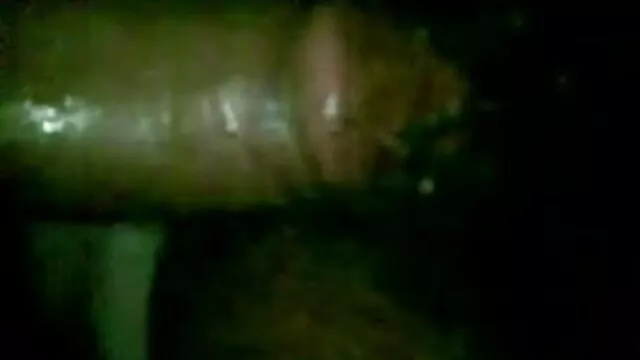 છોકરી સાથે Braids fucked એચડી સેક્સ બીપી વીડીયો નથી પાઠ