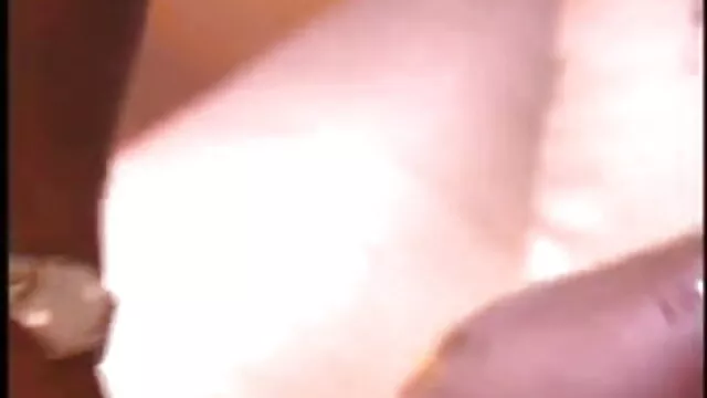 બિલાડી ઝઘડા