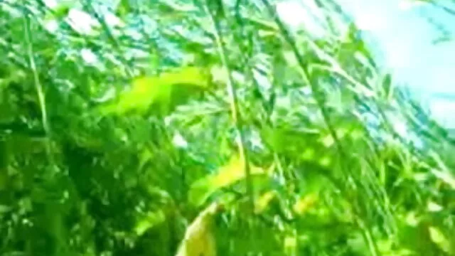 બે કાળો લોડો બબીતા સેક્સ વીડિયો