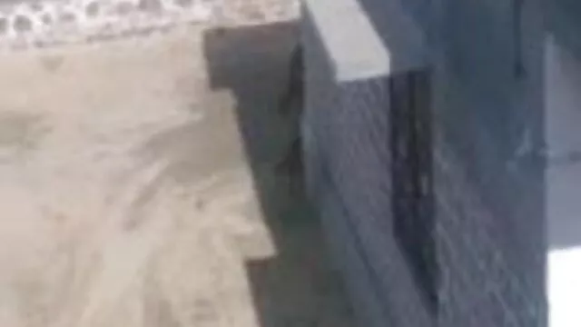પીંજવું યોનિ પડોશીઓ સેક્સ વીડીયો ફૂલ એચડી