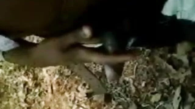 આ ઉનાળામાં હશે દ્વારા fucked એક કૂતરો સેક્સ કરવાની રીત માં ફ્રન્ટ કેમેરા