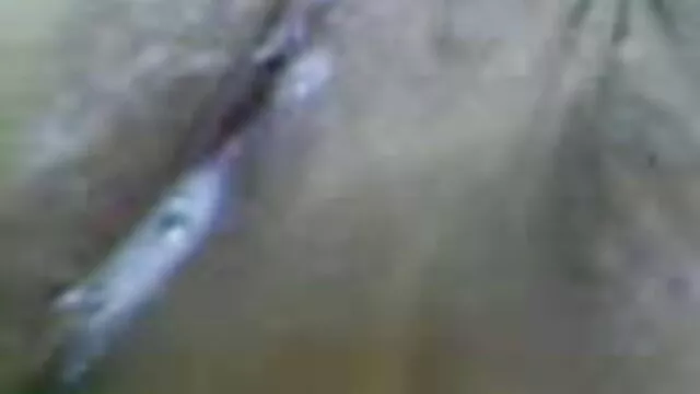 ખાનગી ઘર બીપી સેક્સ વીડીયો porn
