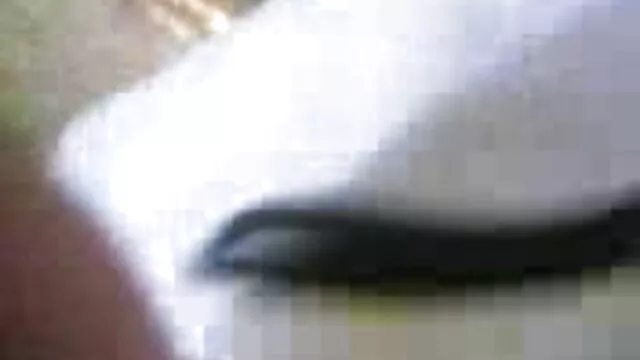 લેસ્બિયન fondles ભોસ સેક્સ ઇંગ્લીશ વીડિયો અને ગાંડ